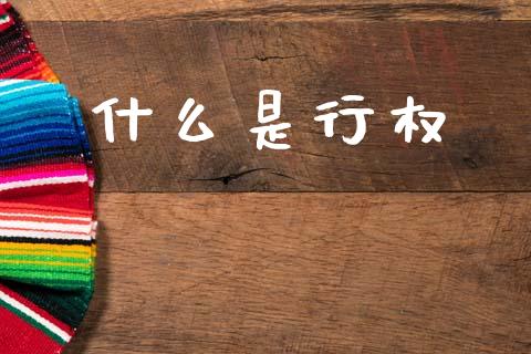 什么是行权_https://wap.jnlaobingbanjia.com_证券公告_第1张
