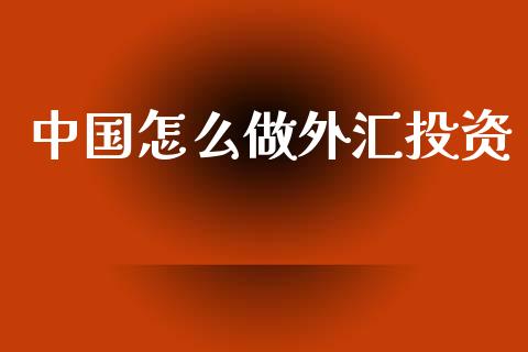 中国怎么做外汇投资_https://wap.jnlaobingbanjia.com_财经资讯_第1张