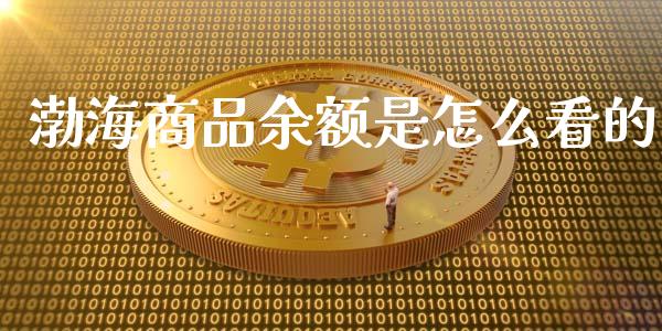 渤海商品余额是怎么看的_https://wap.jnlaobingbanjia.com_金融理财_第1张