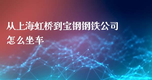 从上海虹桥到宝钢钢铁公司怎么坐车_https://wap.jnlaobingbanjia.com_财务管理_第1张