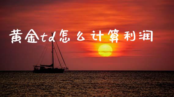 黄金td怎么计算利润_https://wap.jnlaobingbanjia.com_基金分析_第1张