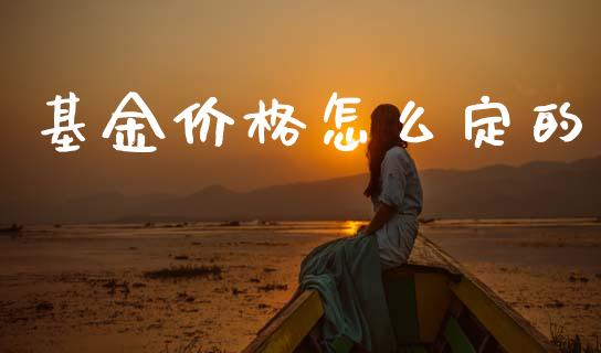 基金价格怎么定的_https://wap.jnlaobingbanjia.com_金融理财_第1张