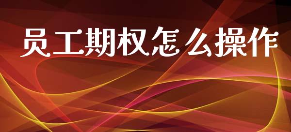 员工期权怎么操作_https://wap.jnlaobingbanjia.com_基金分析_第1张