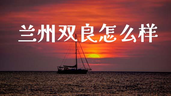 兰州双良怎么样_https://wap.jnlaobingbanjia.com_股市行情_第1张