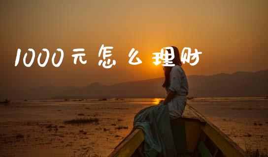 1000元怎么理财_https://wap.jnlaobingbanjia.com_基金分析_第1张
