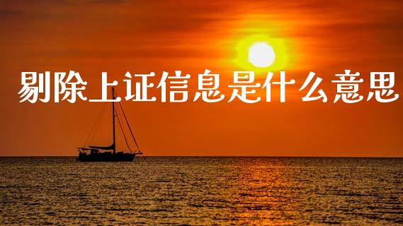 剔除上证信息是什么意思_https://wap.jnlaobingbanjia.com_财务管理_第1张