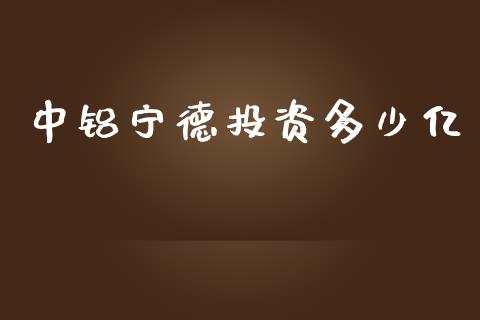 中铝宁德投资多少亿_https://wap.jnlaobingbanjia.com_财务管理_第1张