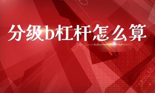 分级b杠杆怎么算_https://wap.jnlaobingbanjia.com_证券公告_第1张