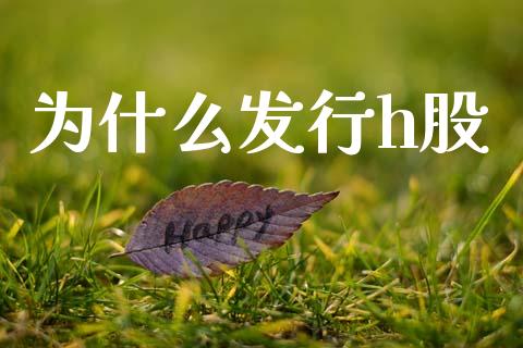 为什么发行h股_https://wap.jnlaobingbanjia.com_财务管理_第1张