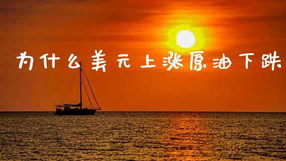 为什么美元上涨原油下跌_https://wap.jnlaobingbanjia.com_股市行情_第1张