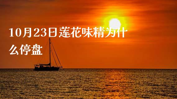 10月23日莲花味精为什么停盘_https://wap.jnlaobingbanjia.com_财经资讯_第1张
