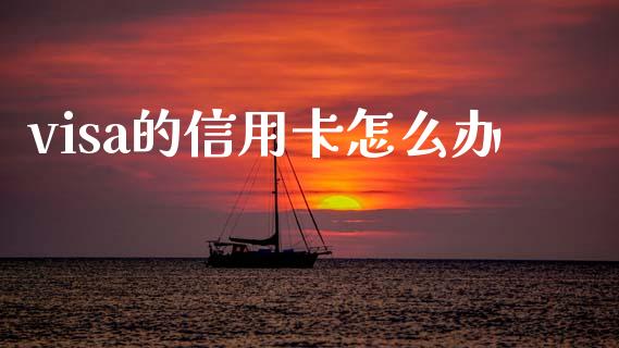 visa的信用卡怎么办_https://wap.jnlaobingbanjia.com_财务管理_第1张