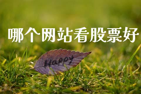 哪个网站看股票好_https://wap.jnlaobingbanjia.com_财经资讯_第1张