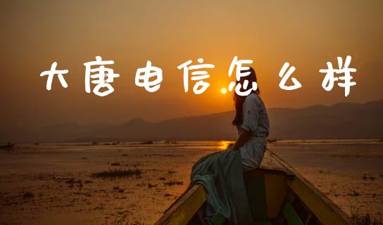 大唐电信怎么样_https://wap.jnlaobingbanjia.com_财务管理_第1张