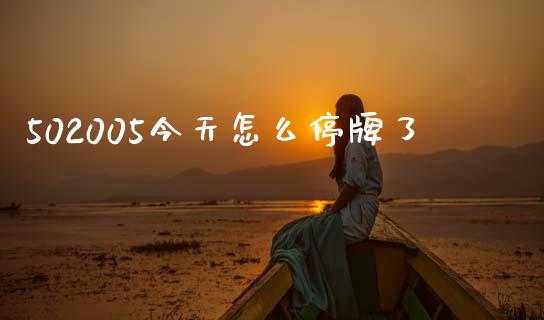 502005今天怎么停牌了_https://wap.jnlaobingbanjia.com_财经资讯_第1张