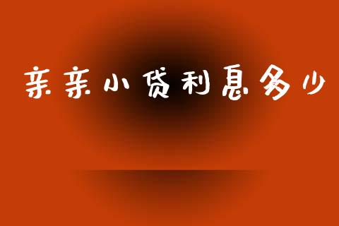 亲亲小贷利息多少_https://wap.jnlaobingbanjia.com_基金分析_第1张