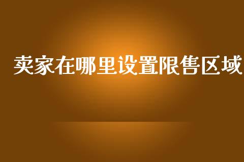 卖家在哪里设置限售区域_https://wap.jnlaobingbanjia.com_证券公告_第1张