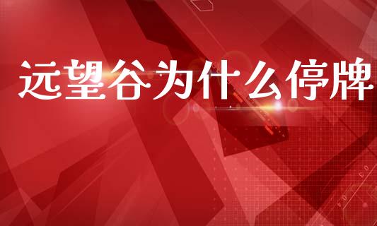 远望谷为什么停牌_https://wap.jnlaobingbanjia.com_证券公告_第1张