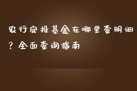 农行定投基金在哪里查明细？全面查询指南_https://wap.jnlaobingbanjia.com_证券公告_第1张