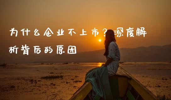 为什么企业不上市？深度解析背后的原因_https://wap.jnlaobingbanjia.com_证券公告_第1张