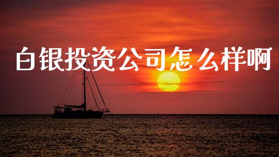 白银投资公司怎么样啊_https://wap.jnlaobingbanjia.com_财经资讯_第1张