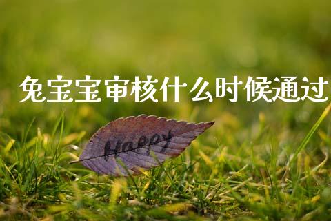 兔宝宝审核什么时候通过_https://wap.jnlaobingbanjia.com_金融理财_第1张