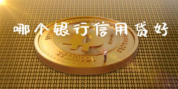 哪个银行信用贷好_https://wap.jnlaobingbanjia.com_证券公告_第1张