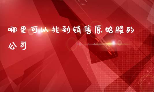 哪里可以找到销售原始股的公司_https://wap.jnlaobingbanjia.com_股市行情_第1张