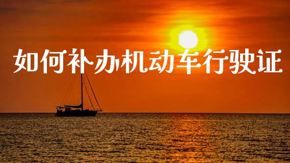 如何补办机动车行驶证_https://wap.jnlaobingbanjia.com_财务管理_第1张