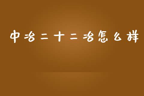 中冶二十二冶怎么样_https://wap.jnlaobingbanjia.com_金融理财_第1张