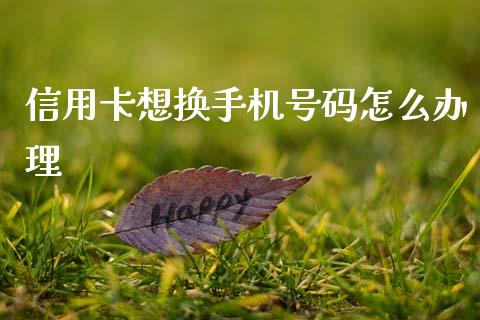 信用卡想换手机号码怎么办理_https://wap.jnlaobingbanjia.com_基金分析_第1张
