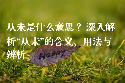 从未是什么意思？ 深入解析“从未”的含义、用法与辨析_https://wap.jnlaobingbanjia.com_财务管理_第1张