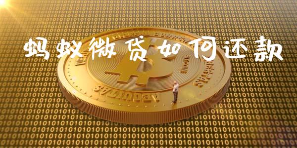 蚂蚁微贷如何还款_https://wap.jnlaobingbanjia.com_证券公告_第1张