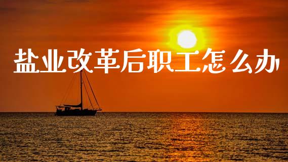 盐业改革后职工怎么办_https://wap.jnlaobingbanjia.com_股市行情_第1张