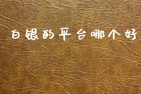 白银的平台哪个好_https://wap.jnlaobingbanjia.com_财务管理_第1张