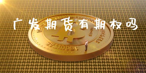 广发期货有期权吗_https://wap.jnlaobingbanjia.com_财务管理_第1张