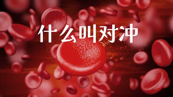 什么叫对冲_https://wap.jnlaobingbanjia.com_基金分析_第1张