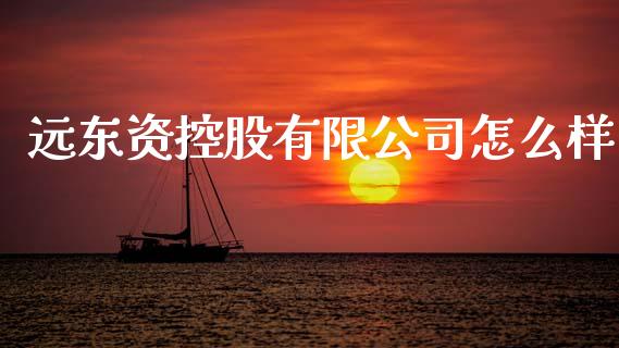 远东资控股有限公司怎么样_https://wap.jnlaobingbanjia.com_金融理财_第1张