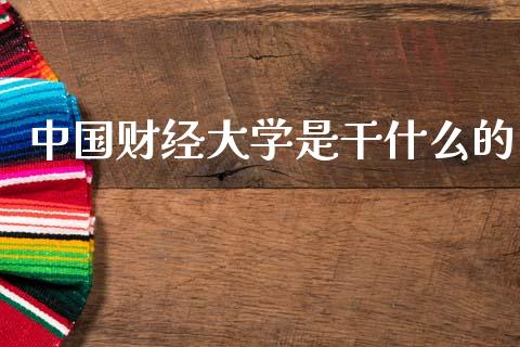 中国财经大学是干什么的_https://wap.jnlaobingbanjia.com_股市行情_第1张
