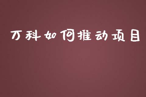 万科如何推动项目_https://wap.jnlaobingbanjia.com_金融理财_第1张