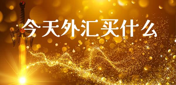 今天外汇买什么_https://wap.jnlaobingbanjia.com_基金分析_第1张
