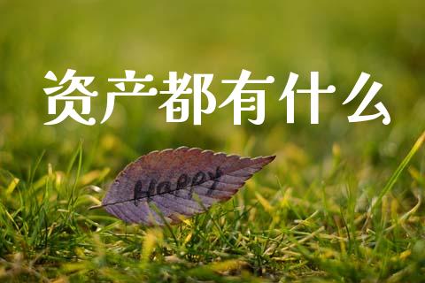 资产都有什么_https://wap.jnlaobingbanjia.com_证券公告_第1张