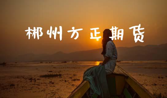 郴州方正期货_https://wap.jnlaobingbanjia.com_证券公告_第1张