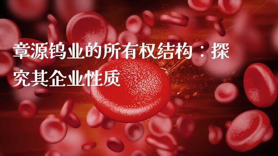章源钨业的所有权结构：探究其企业性质_https://wap.jnlaobingbanjia.com_财务管理_第1张