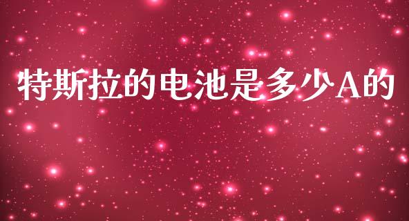 特斯拉的电池是多少A的_https://wap.jnlaobingbanjia.com_金融理财_第1张