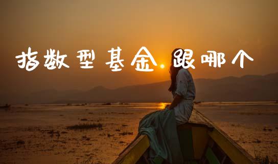 指数型基金 跟哪个_https://wap.jnlaobingbanjia.com_股市行情_第1张