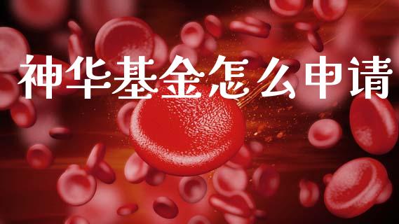 神华基金怎么申请_财务管理_第1张_财经资讯_股市行情_财务管理_金融理财 神华基金怎么申请_https://wap.jnlaobingbanjia.com_财务管理_第1张