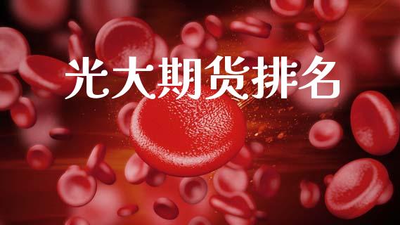 光大期货排名_https://wap.jnlaobingbanjia.com_证券公告_第1张