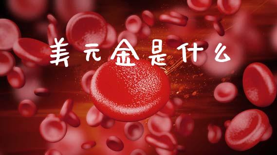 美元金是什么_https://wap.jnlaobingbanjia.com_基金分析_第1张