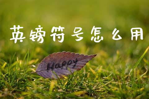 英镑符号怎么用_https://wap.jnlaobingbanjia.com_基金分析_第1张